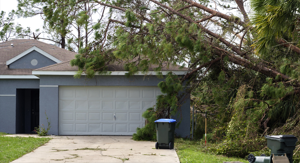 What Insurance Companies Can You Trust