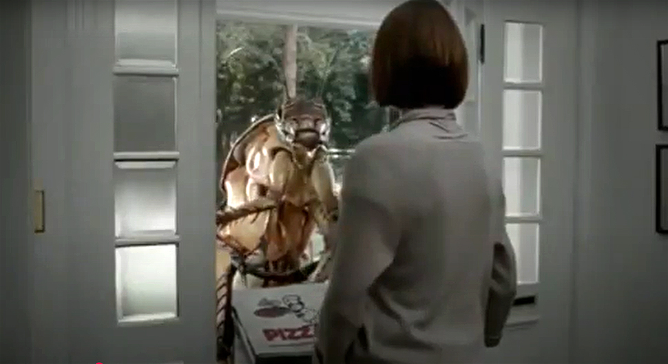 Dear Orkin Pest Control